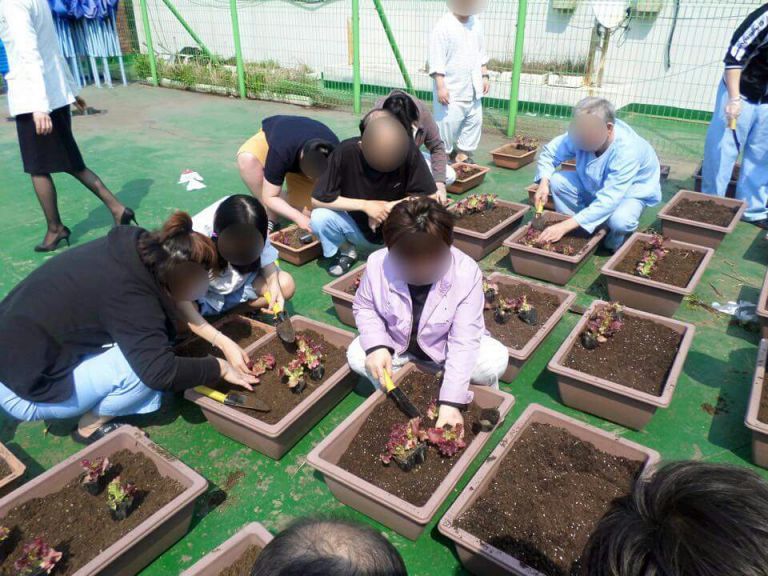 텃밭 가꾸기 