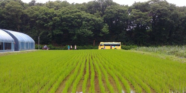 2018 생태체험학습 (2018.7.13 양주 은현면 텃밭)